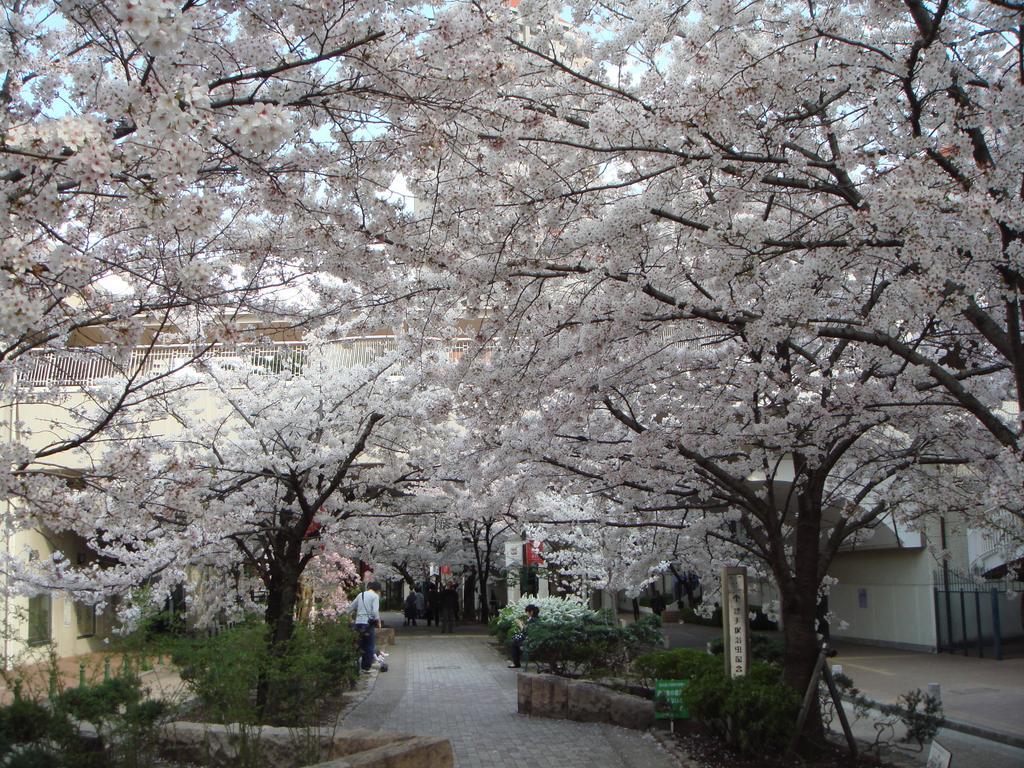 Hotel Wakamizu Takarazuka Exteriör bild